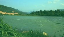 描写河水清澈的句子