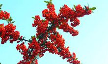 保重身体之类的话