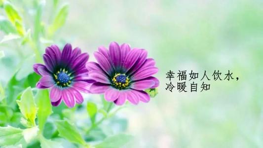 生命的句子