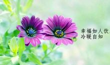 感悟人生的的句子