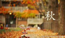 禅语感悟爱情的句子