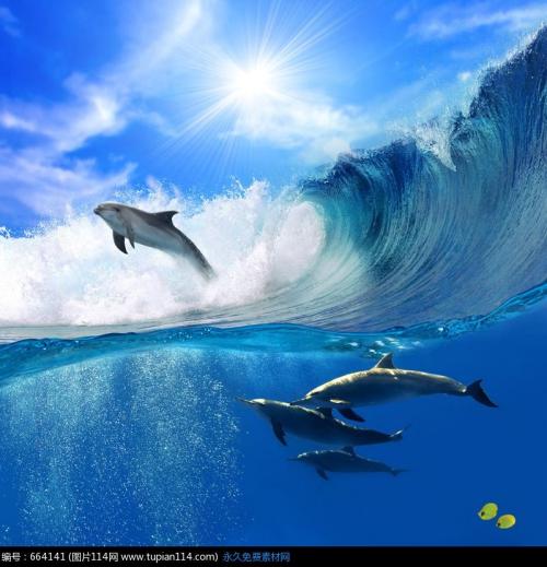 海中鱼