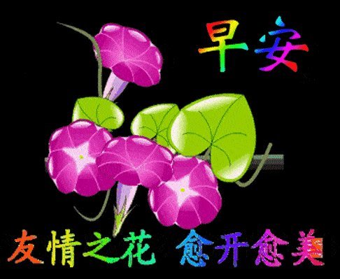 冬天的早晨的祝福