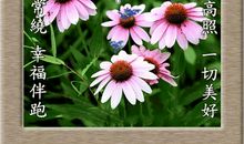 周一早安祝福语