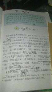 带图像的拟人化句子