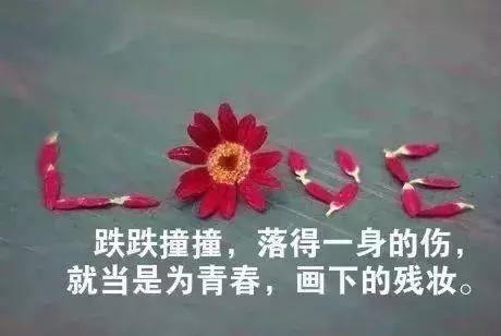 朋友圈晨报