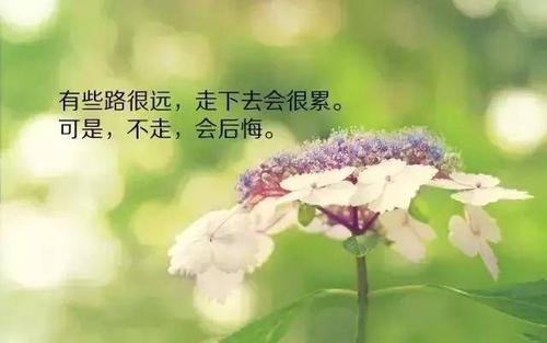 对生活失去信心的句子