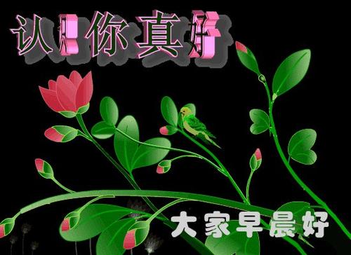 早上的问候