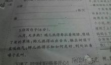 写动作的好句子