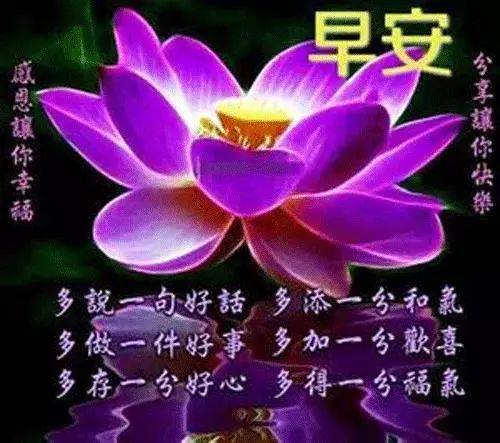 周末早安祝福