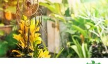 微信签名一句话正能量