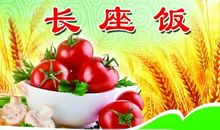 粮食安全标语