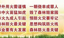 森林防火宣传标语