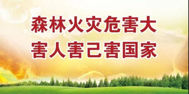 森林口号