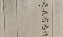 用不是…而是造句大全