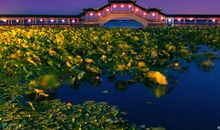 写江南美景的句子