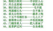 水煮石头歇后语