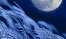 描写月光皎洁的诗句