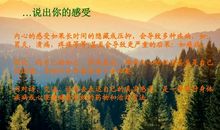 关于阳光心态的名言