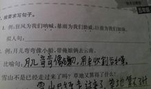 郁金香拟人句