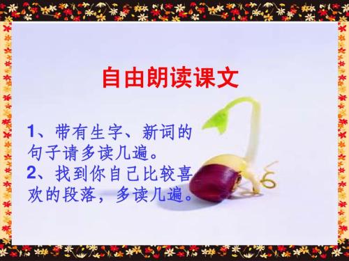 自由隐喻