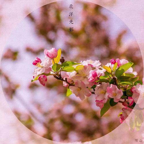 经典报价