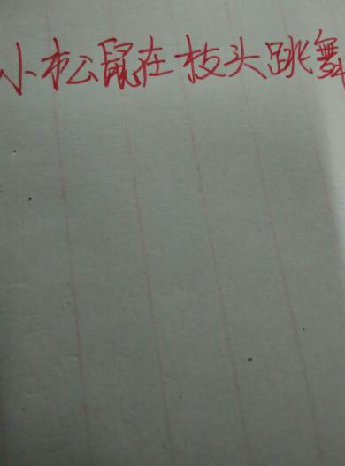 松鼠