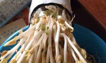 卖豆芽不带秤歇后语