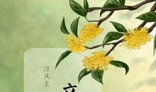 二十四个节气谚语