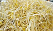 买豆芽不带秤歇后语