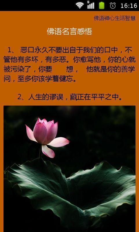 佛教语录与人生哲学