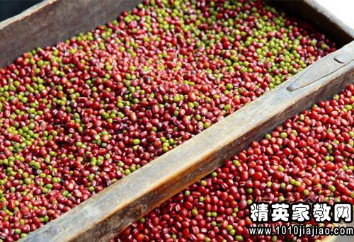板上的豆芽