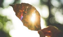 每天起床告诉自己，保持微笑，天气真好