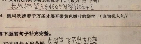 关于高粱的拟人化句子