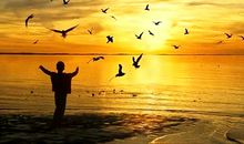 富含现代人生哲理的句子或段落【精选39句】