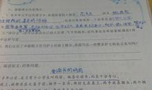 赞美母亲的名句