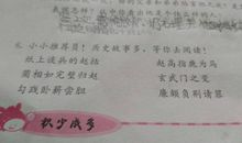 茶壶煮饺子歇后语