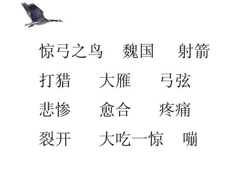 受惊的鸟
