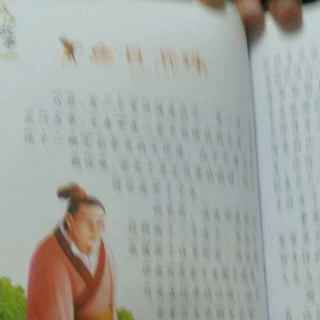 鱼眼的寓言解释