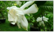 最能安慰失恋人的话