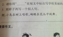 写熊猫的拟人句