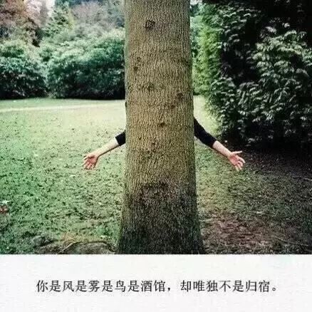 滴答句子