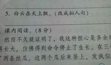 荷花写拟人句