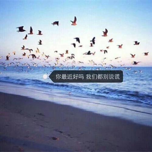 说话冷淡