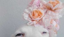 能逗人开心的话