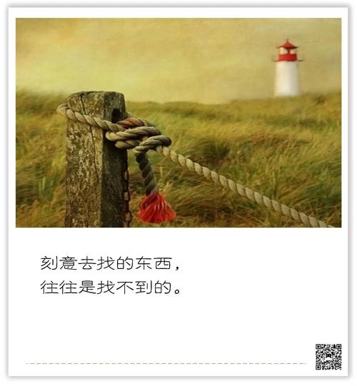 被冷落的句子