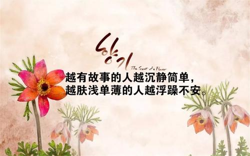 朋友时刻谈论短语