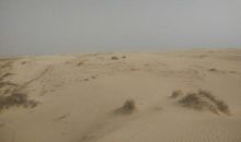 抖音的失恋句子