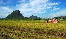 关于农忙时节的谚语