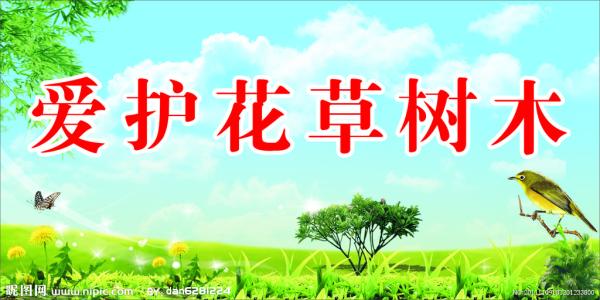 保护树木的口号